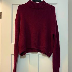 American Eagle Cropped Turtleneck